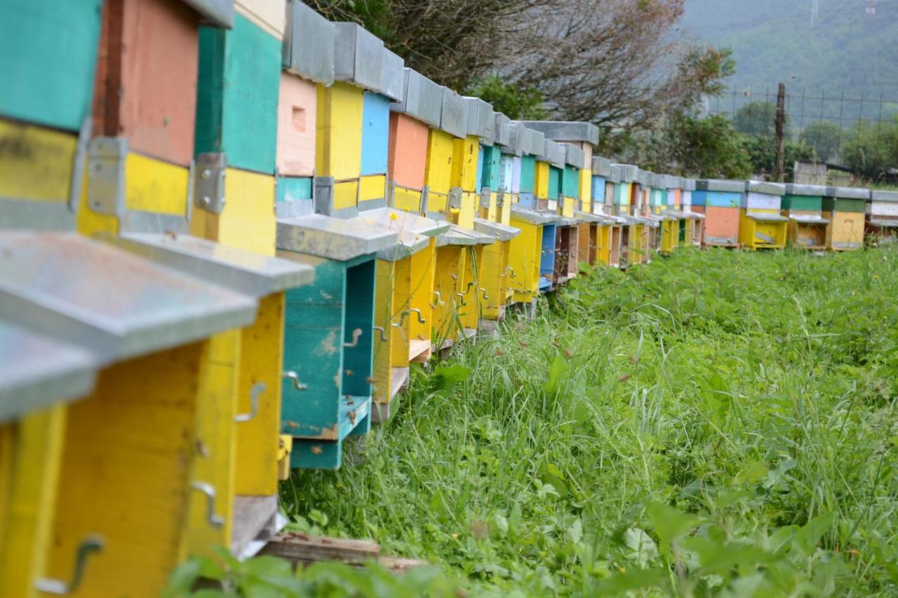 Agriturismo Dalla Natura La Salute Giustino Экстерьер фото